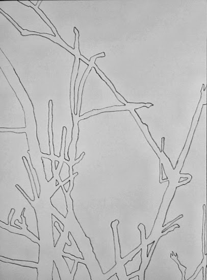 How do you see the NEGATIVE space in comparison to the Positive Space?