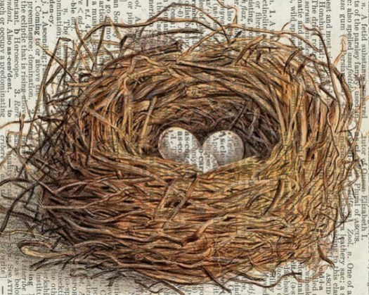 birds-nest-artwork-526x420