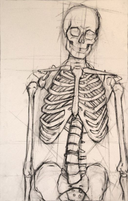 Skeleton Isolation Drawing - Look at the GUIDELINES that this artist has started using. https://s-media-cache-ak0.pinimg.com/736x/07/a4/fa/07a4fa086f136d458ea1ccfc06fb53e3.jpg 