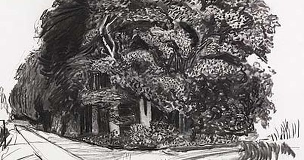 David Hockney and his drawings - 10 - 20 feet: https://s-media-cache-ak0.pinimg.com/600x315/05/5d/e2/055de2dd870c79b59b1aac5482b8ce12.jpg