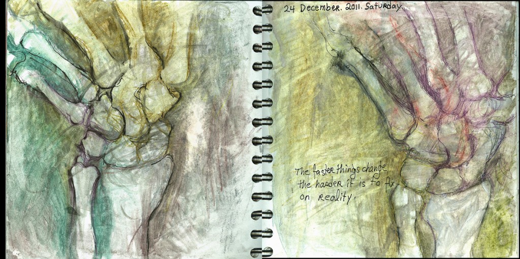 fitz_december24_2011_grasping-at-straws-1024x510