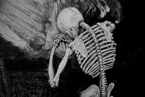 tumblr_ouo8ax9cvp1w1ai4so1_500